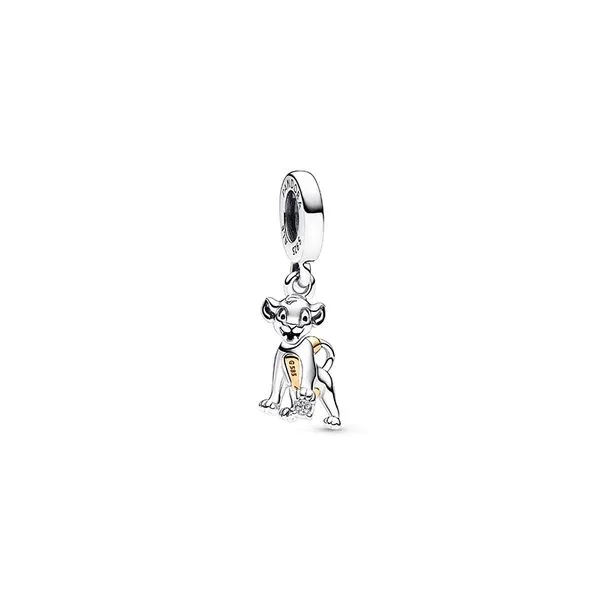 Pandora diamond charms shop