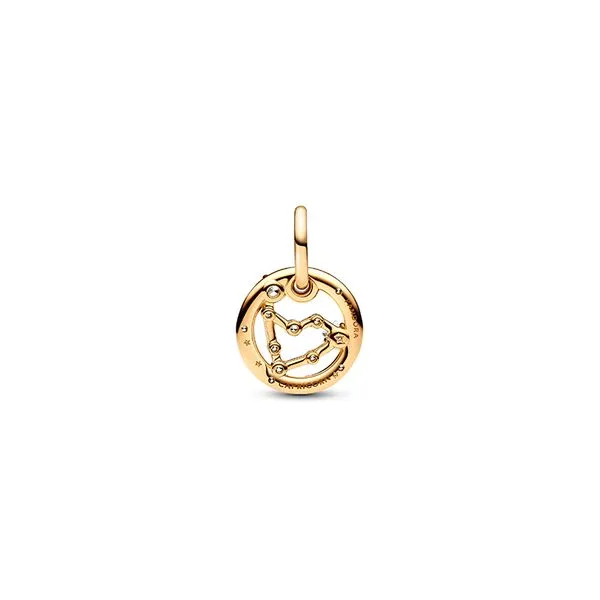 Capricorn Zodiac Dangle Charm