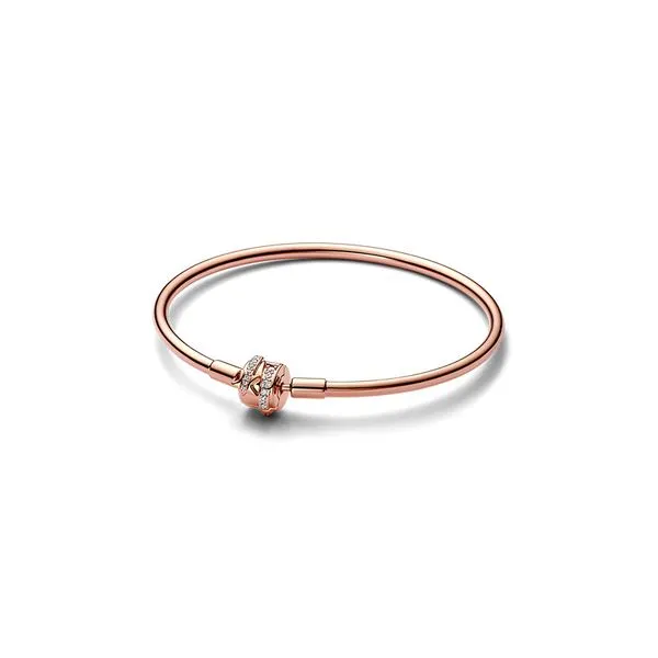 Moments pandora bangle store
