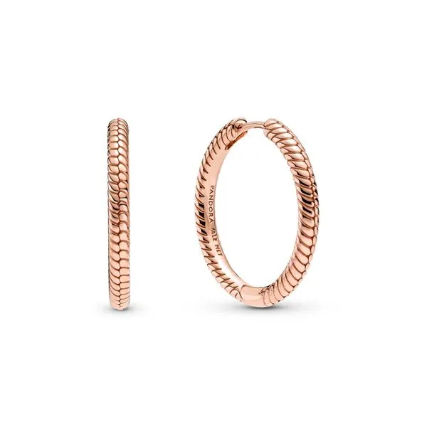 Earrings Nick T. Arnold Jewelers Owensboro, KY