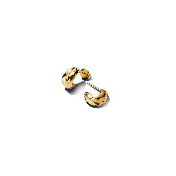 Earrings Nick T. Arnold Jewelers Owensboro, KY