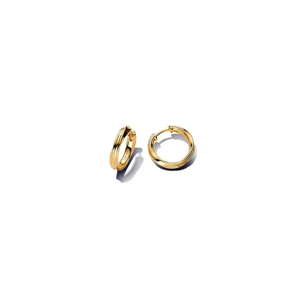 Earrings Nick T. Arnold Jewelers Owensboro, KY