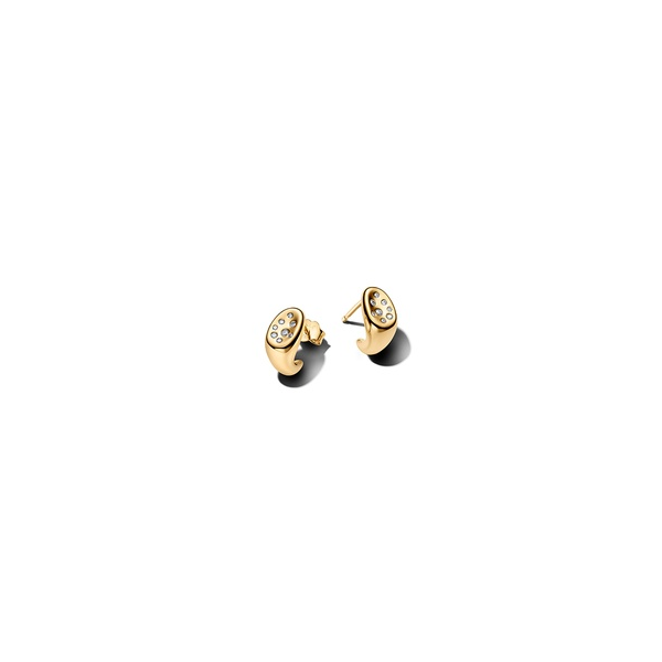 Earrings Nick T. Arnold Jewelers Owensboro, KY