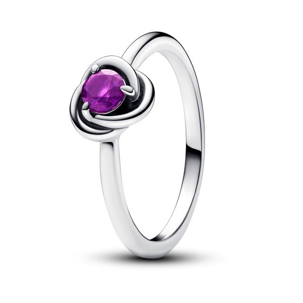 February Purple Eternity Circle Ring - Size 56 / US 7.5 Nick T. Arnold Jewelers Owensboro, KY