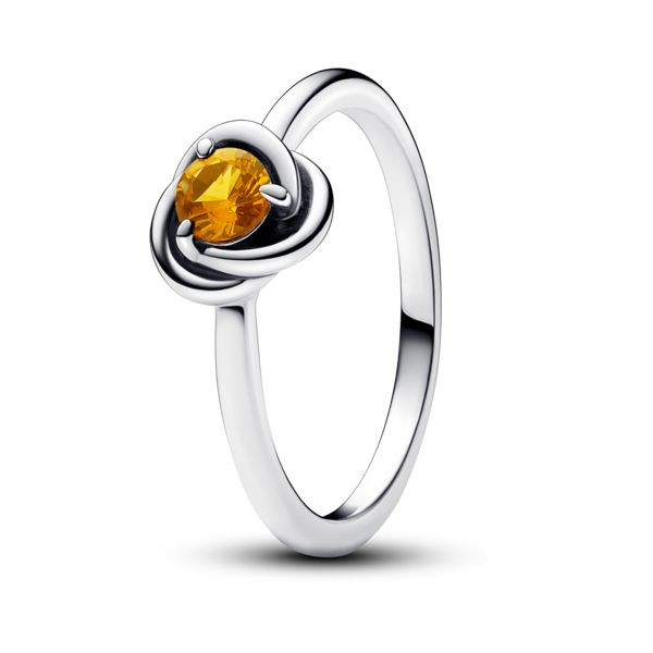 November Honey Eternity Circle Ring - Size 52 / US 6 Nick T. Arnold Jewelers Owensboro, KY