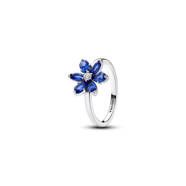 Sparkling Blue Herbarium Cluster Ring - Size 52 / US 6 Nick T. Arnold Jewelers Owensboro, KY