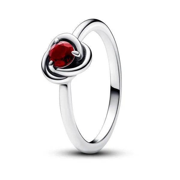 January Red Eternity Circle Ring - Size 50 / US 5 Nick T. Arnold Jewelers Owensboro, KY