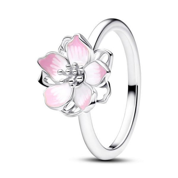 Rings Nick T. Arnold Jewelers Owensboro, KY