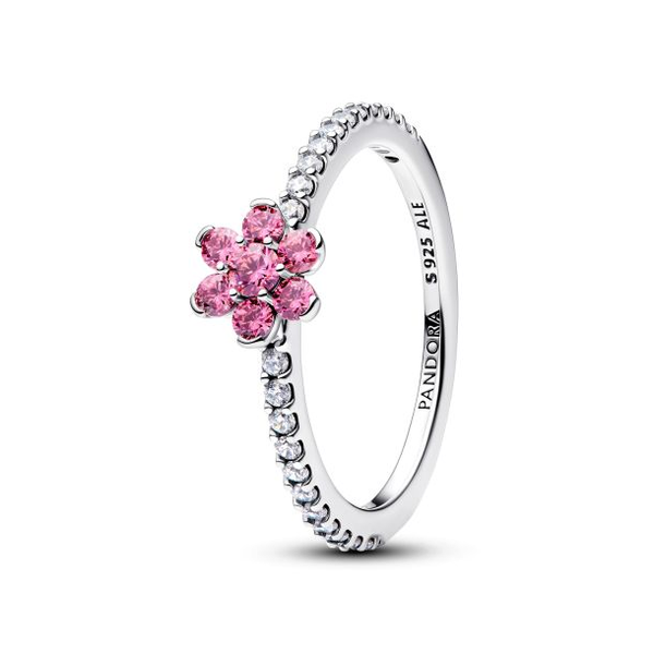 Rings Nick T. Arnold Jewelers Owensboro, KY