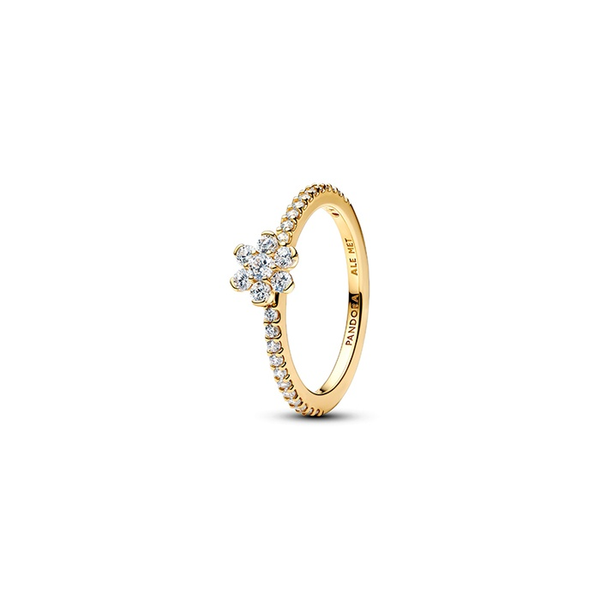 Rings Nick T. Arnold Jewelers Owensboro, KY