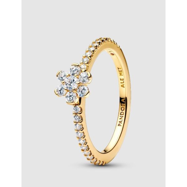 Rings Nick T. Arnold Jewelers Owensboro, KY