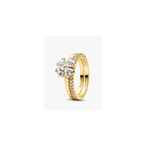 Rings Nick T. Arnold Jewelers Owensboro, KY