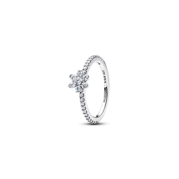 Rings Nick T. Arnold Jewelers Owensboro, KY