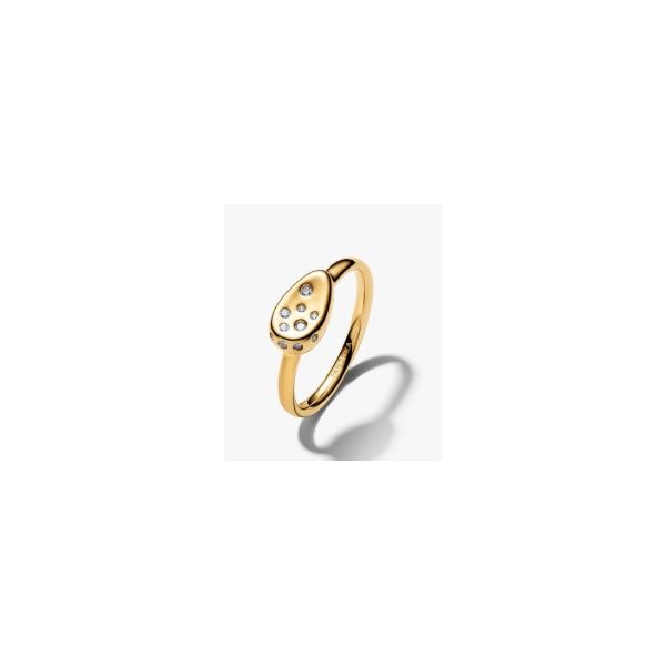 Rings Nick T. Arnold Jewelers Owensboro, KY