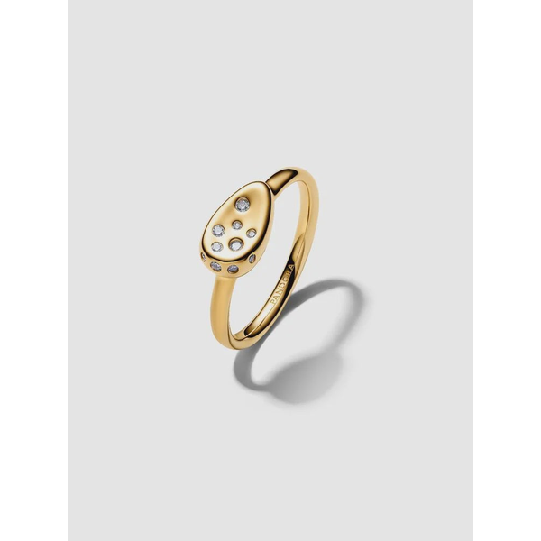 Rings Nick T. Arnold Jewelers Owensboro, KY