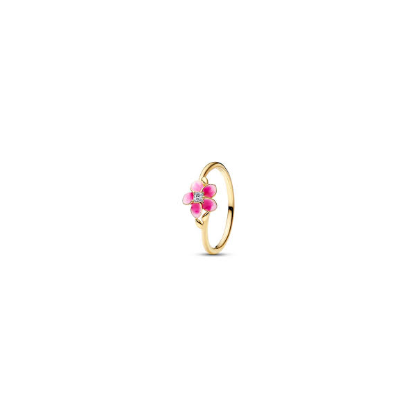 Rings Nick T. Arnold Jewelers Owensboro, KY