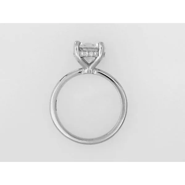 Engagement Ring Setting Image 2 Sterling Jewelers Wethersfield, CT