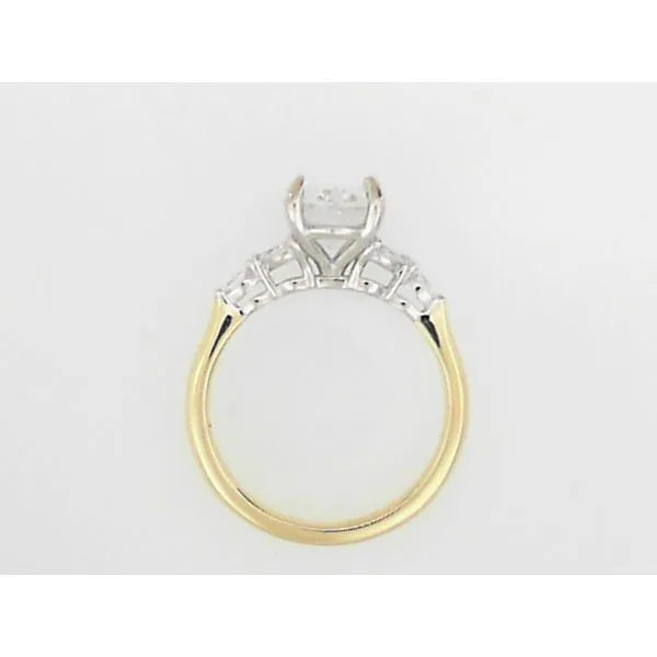 Engagement Ring Setting Image 2 Sterling Jewelers Wethersfield, CT