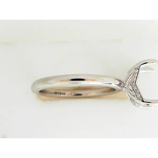 Engagement Ring Setting Image 2 Sterling Jewelers Wethersfield, CT