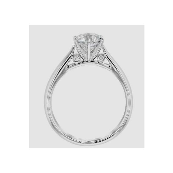 Engagement Ring Setting Image 2 Sterling Jewelers Wethersfield, CT