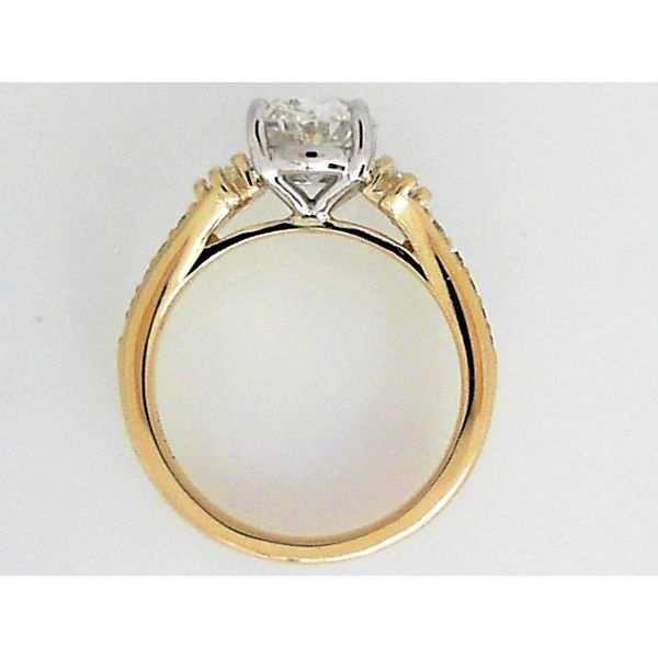 Engagement Ring Setting Image 3 Sterling Jewelers Wethersfield, CT