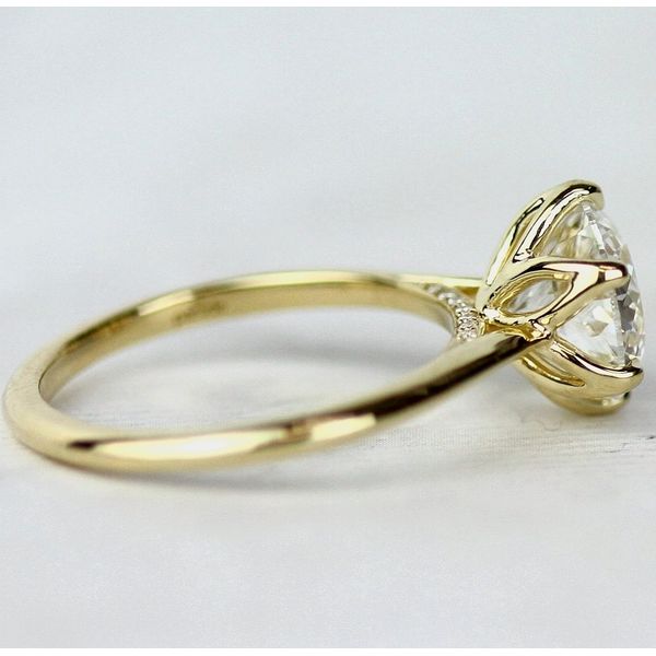 Engagement Ring Setting Image 2 Sterling Jewelers Wethersfield, CT