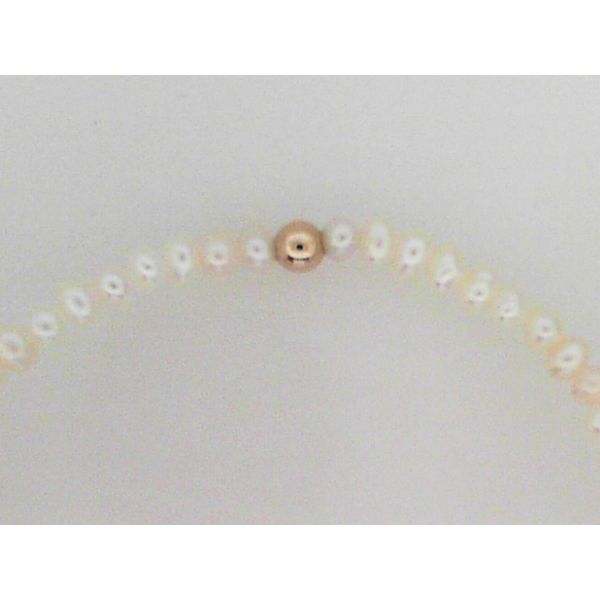 Women's Bracelet Sterling Jewelers Wethersfield, CT