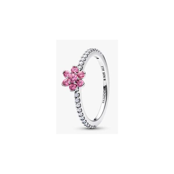Ladies Ring Sterling Jewelers Wethersfield, CT