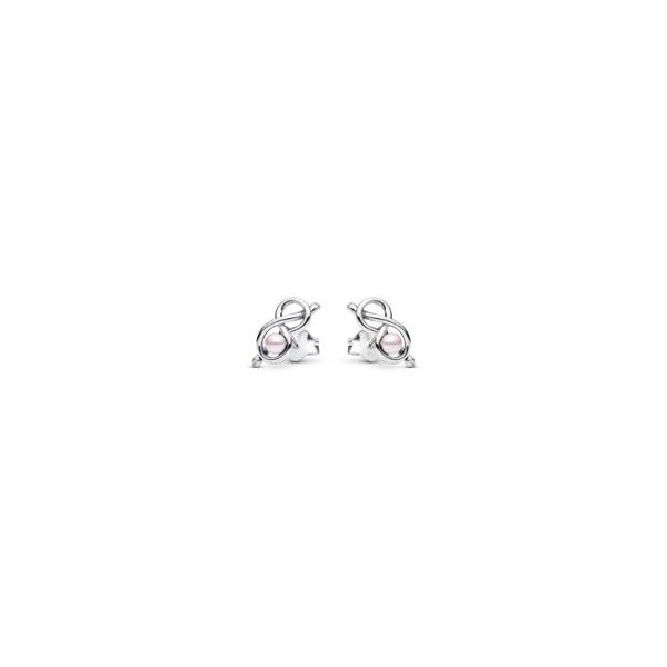 Earrings Sterling Jewelers Wethersfield, CT