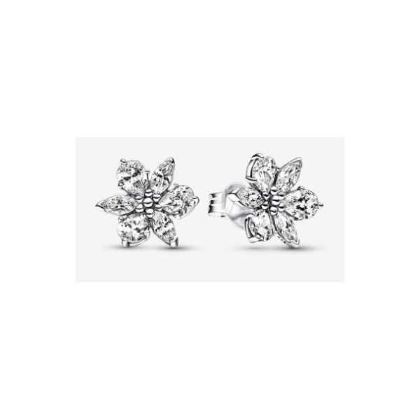 Earrings Sterling Jewelers Wethersfield, CT