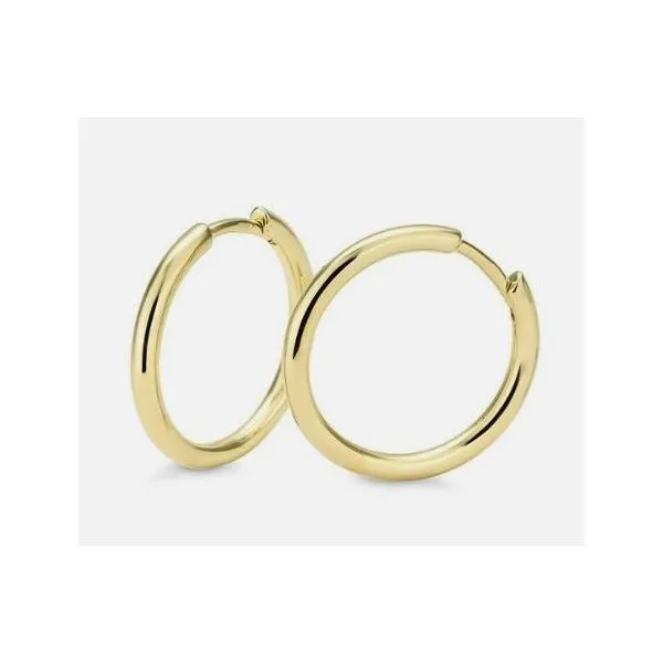 Earrings Sterling Jewelers Wethersfield, CT