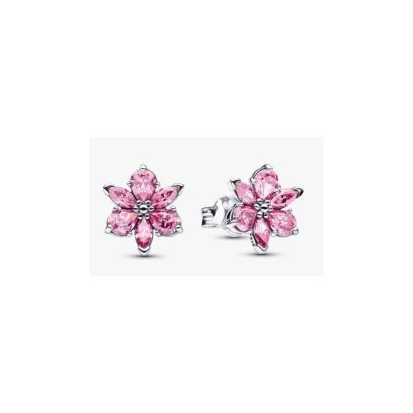 Earrings Sterling Jewelers Wethersfield, CT