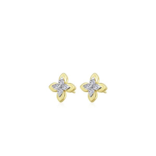 Earrings Sterling Jewelers Wethersfield, CT