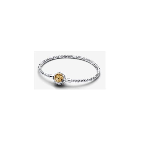 Pandora Shine Bracelet Sterling Jewelers Wethersfield, CT