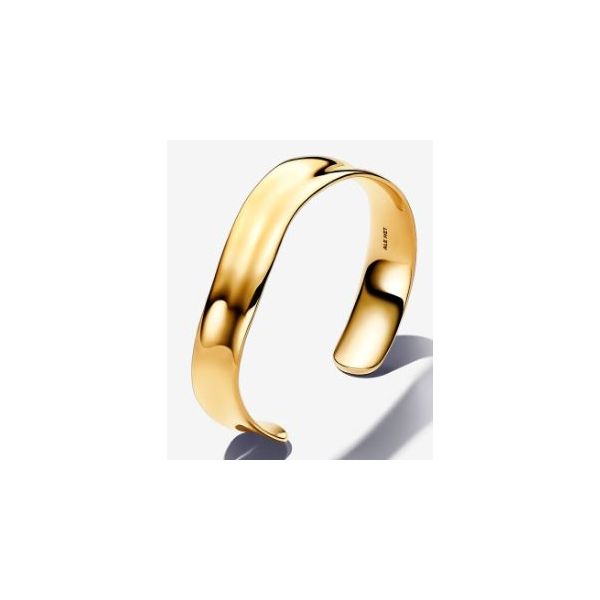 Pandora Shine Bracelet Sterling Jewelers Wethersfield, CT