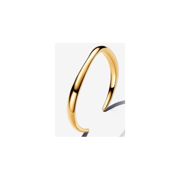 Pandora Shine Bracelet Sterling Jewelers Wethersfield, CT