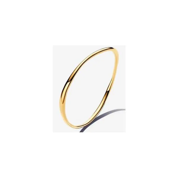 Pandora Shine Bracelet Sterling Jewelers Wethersfield, CT