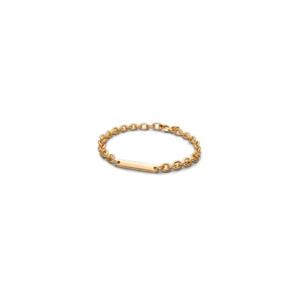 Pandora Shine Bracelet Sterling Jewelers Wethersfield, CT