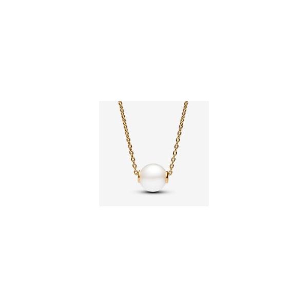 Pandora Shine Pendant/Necklaces Sterling Jewelers Wethersfield, CT