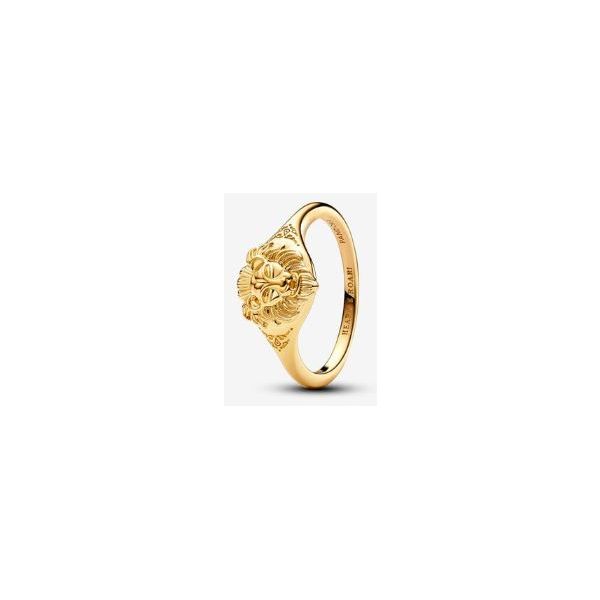 Pandora Shine Rings Sterling Jewelers Wethersfield, CT