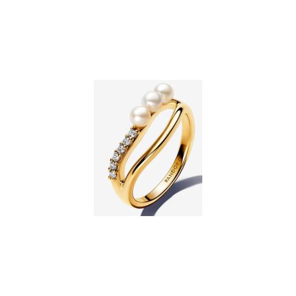 Pandora Shine Rings Sterling Jewelers Wethersfield, CT