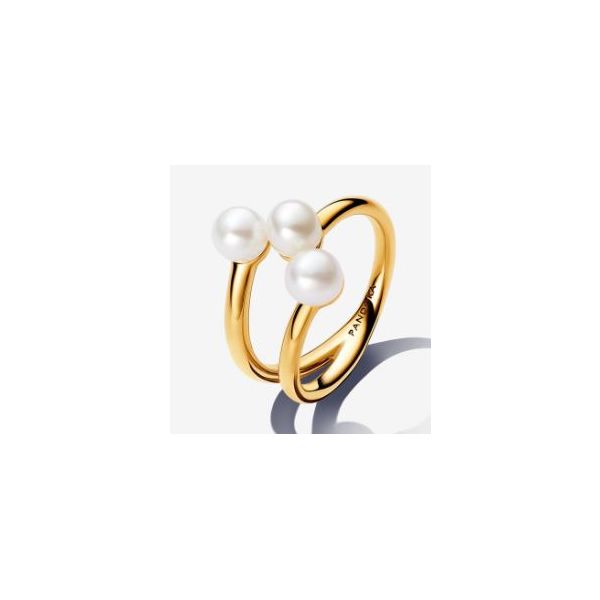 Pandora Shine Rings Sterling Jewelers Wethersfield, CT