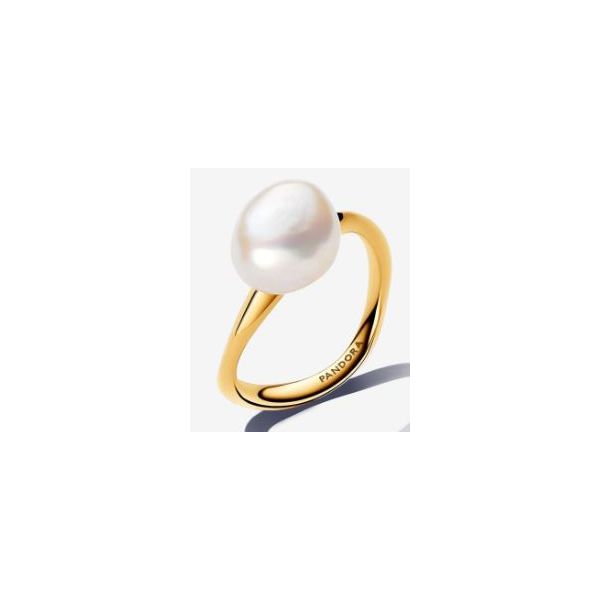 Pandora Shine Rings Sterling Jewelers Wethersfield, CT