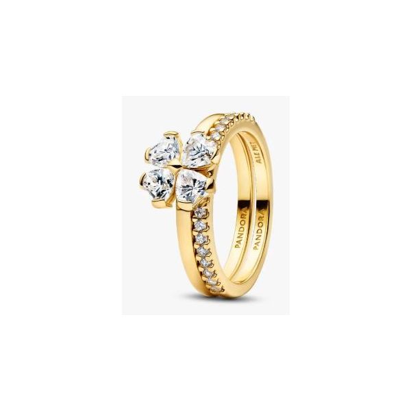 Pandora Shine Rings Sterling Jewelers Wethersfield, CT