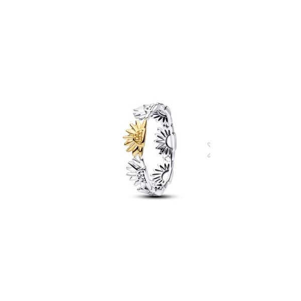Pandora Shine Rings Sterling Jewelers Wethersfield, CT