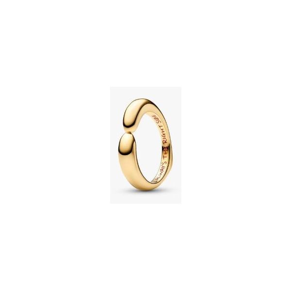 Pandora Shine Rings Sterling Jewelers Wethersfield, CT