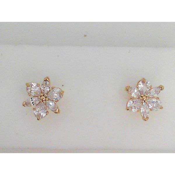 Pandora Shine Earrings Sterling Jewelers Wethersfield, CT