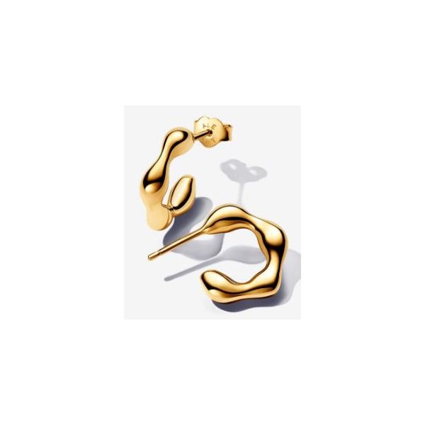 Pandora Shine Earrings Sterling Jewelers Wethersfield, CT