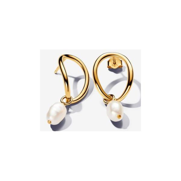 Pandora Shine Earrings Sterling Jewelers Wethersfield, CT