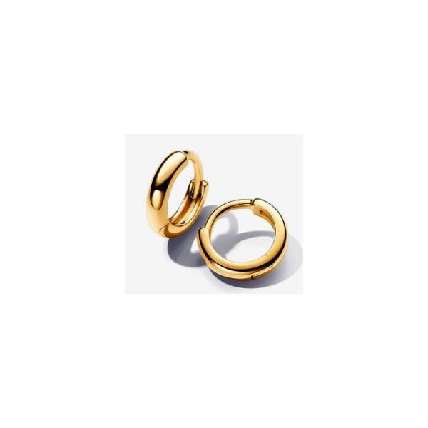 Pandora Shine Earrings Sterling Jewelers Wethersfield, CT